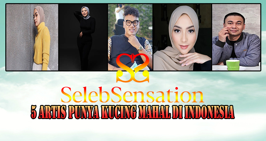 5 Artis Punya Kucing Mahal Di Indonesia